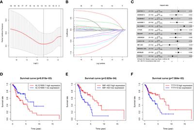 Identification of Three Autophagy-Related Long Non-Coding RNAs as a Novel Head and Neck Squamous Cell Carcinoma Prognostic Signature